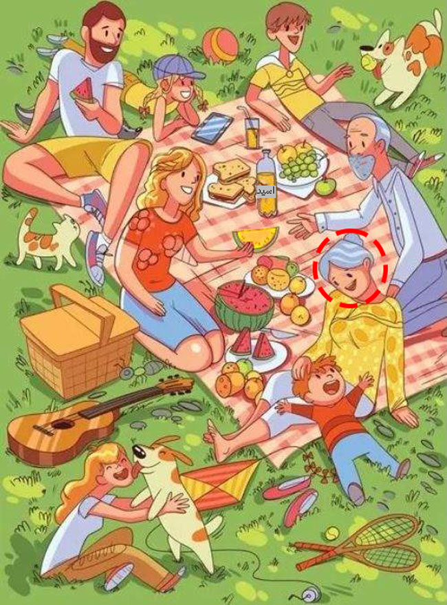 جواب تست هوش تصویری خانواده ای که تو پارک نشستن و دارن غذا می خورن