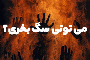 قبل از خرید سگ حتما این تست رو انجام بده!