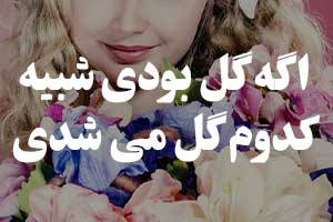 اگه گل بودی شبیه کدوم گل می شدی ؟ تست شخصیت شناسی 